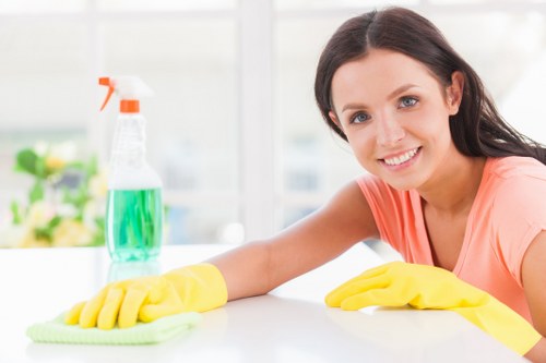 Carpet cleaning team in Barnes focusing on eco-friendly waste sorting