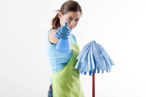 Steam carpet cleaning for a home in Barnes