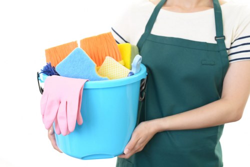Professional oven cleaning service for Barnes homes and kitchens