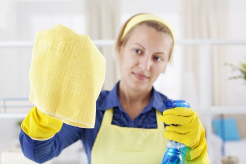 Professional deep cleaning of office carpets in Barnes