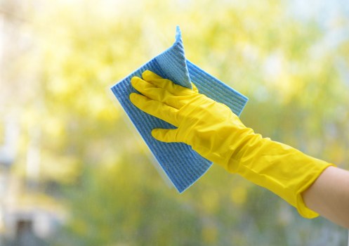 Professional regular cleaning in Barnes for a busy family property