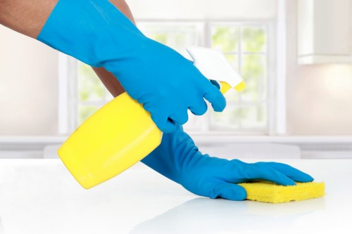 Hot water extraction carpet cleaning equipment in Barnes