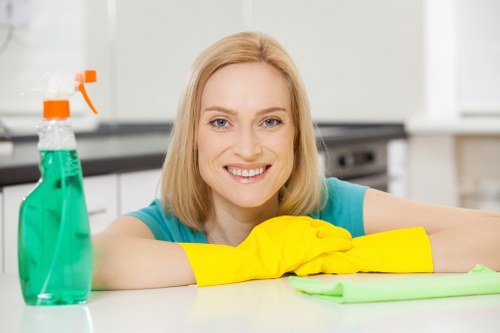 Local stain removal service for carpets and upholstery in Barnes