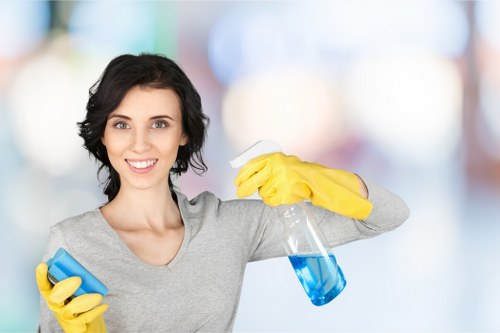 Illustration representing accessible Carpet Cleaning Barnes website content