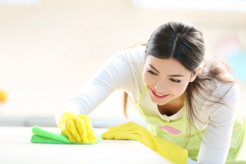 Barnes business carpet maintenance and stain removal service