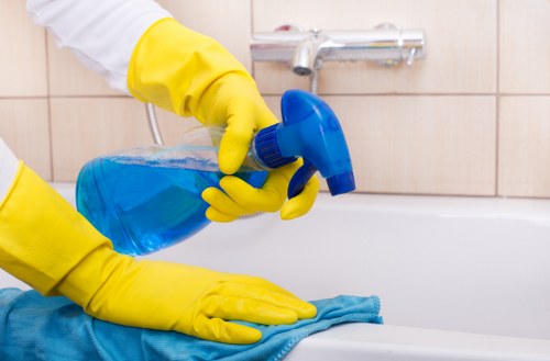 Window cleaning service for Barnes homes and period properties