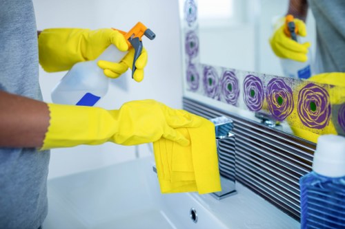 Safe and professional carpet cleaning process