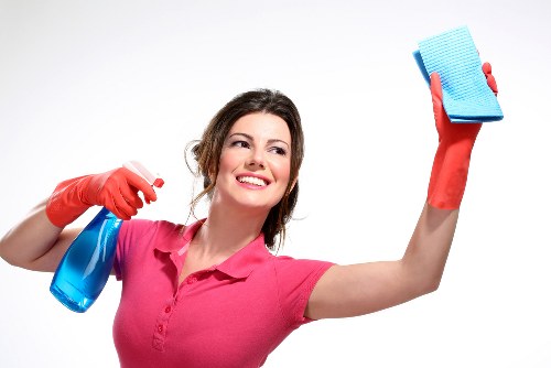 Local pet stain odour removal service for Barnes rugs and soft furnishings